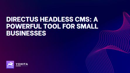 Directus Headless CMS: A Powerful Tool for Small Businesses