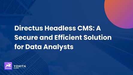 Directus Headless CMS: A Secure and Efficient Solution for Data Analysts