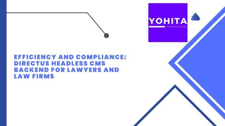 Efficiency and Compliance: Directus Headless CMS Backend for Lawyers and Law Firms