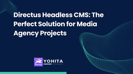 Directus Headless CMS: The Perfect Solution for Media Agency Projects