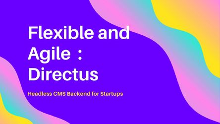 Flexible and Agile API Ready : Directus Headless CMS Backend for Startups
